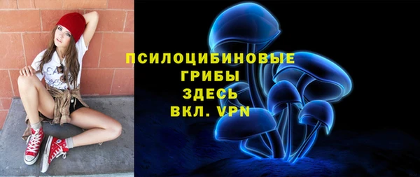 мдпв Новозыбков