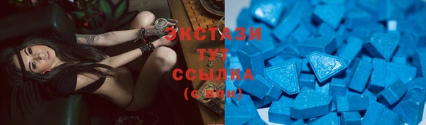 мдпв Новозыбков