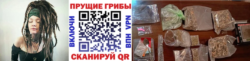 Галлюциногенные грибы Psilocybe Азов